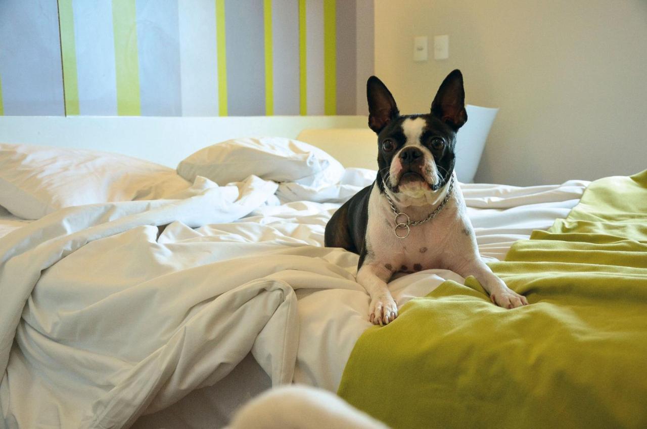 Dmax Hotel Marilia Bagian luar foto